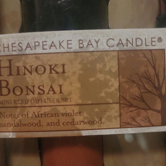 Mini Reed Diffuser - Picture 3 of 5